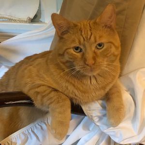 Meet your Posher, Dee